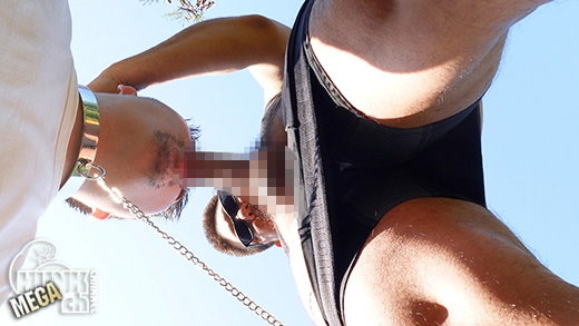 「【Bくん VIDEO：Full HD】ペット散歩中に中出し」より